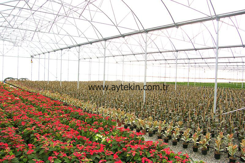 flower greenhouse construction