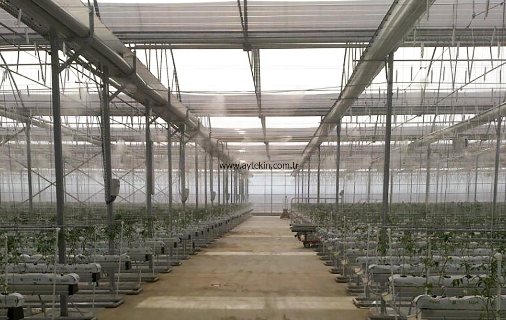 greenhouse company azerbaijan