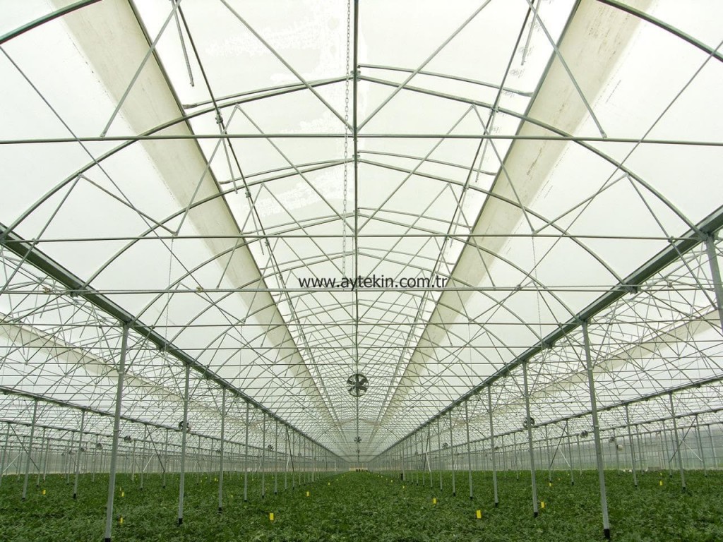 greenhouse construction cost