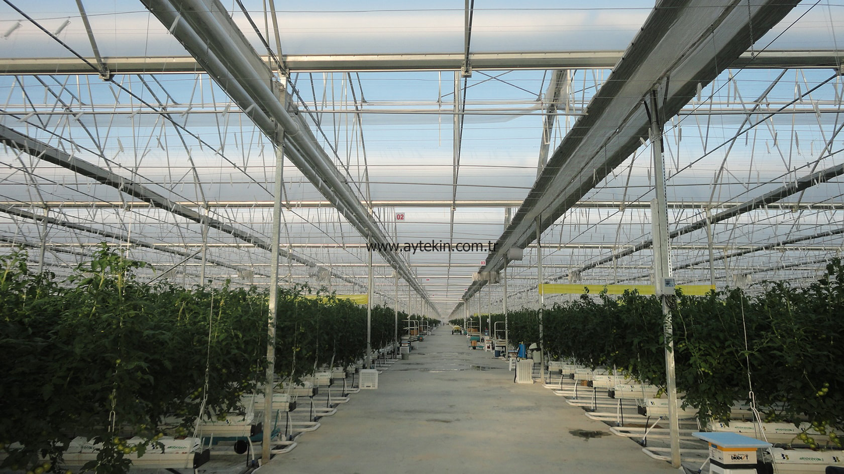 modern tomato greenhouse