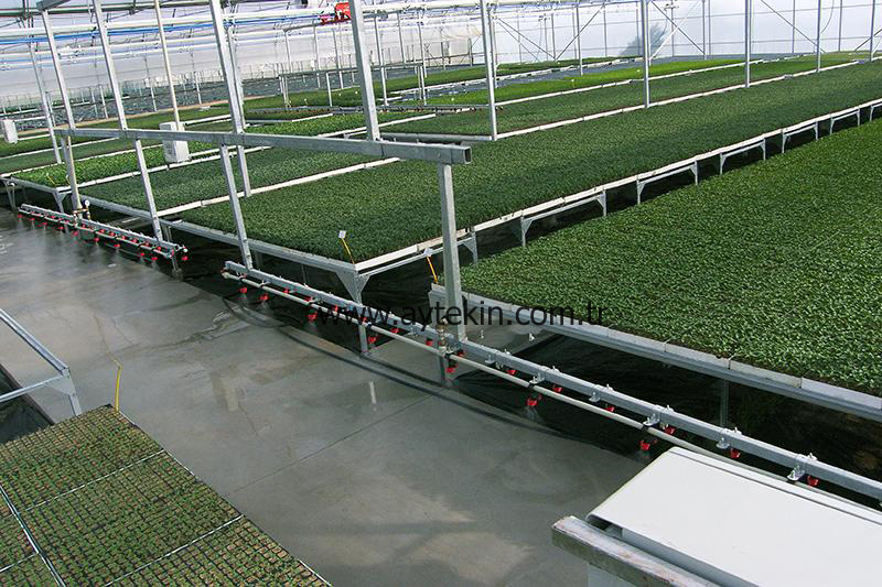 seedeling greenhouse