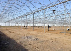 commercial greenhouse construction