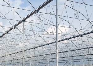 greenhouse construction cost